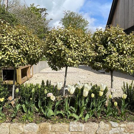 Cedar House Affittacamere Ilsington Esterno foto